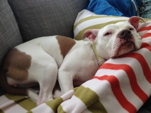 Dad, just let me sleep already.