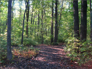 This seems like a good place to start a fire. Right? You guys?