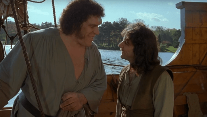 princessbridefezzikinigo