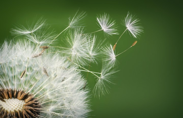 Shelter in Place, Pt. VII: For&nbsp;Now